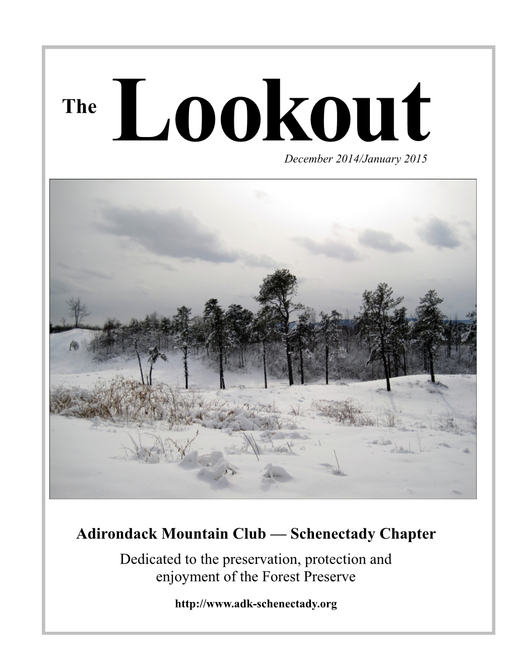 The Lookout 2015-01