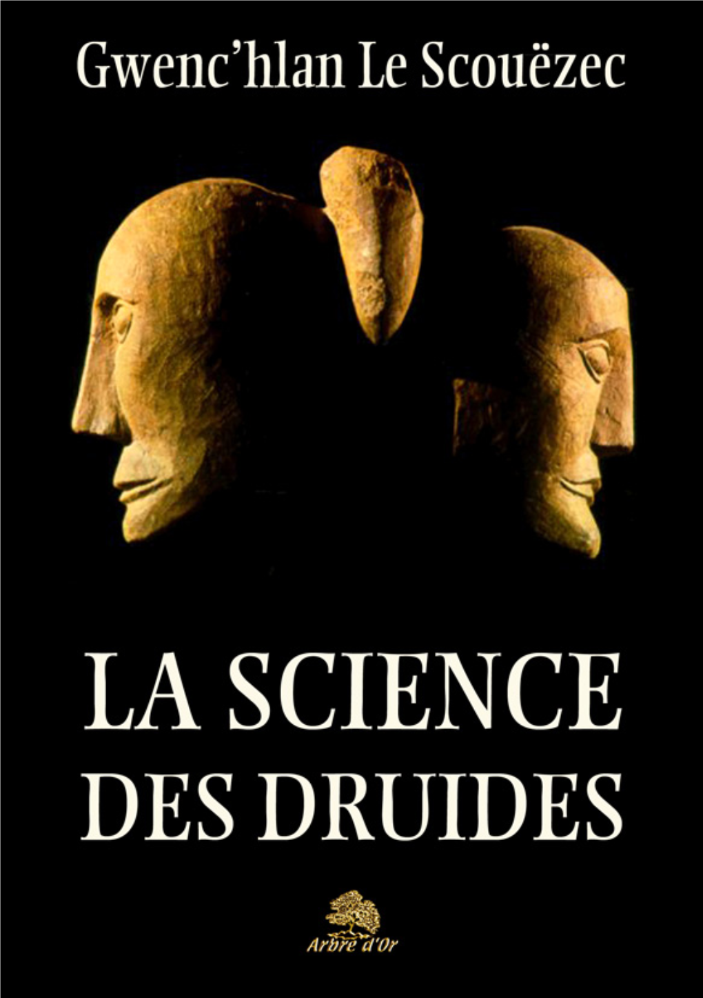 La Sciende Des Druides