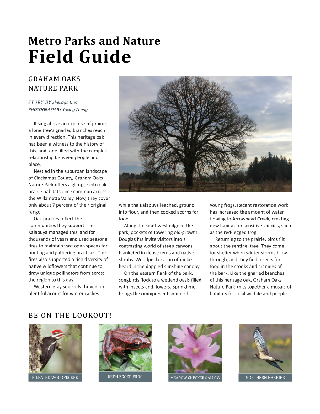 Graham Oaks Field Guide Feb 2016 PDF Open