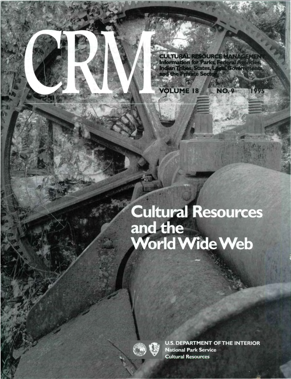 Cultural Resources and the World Wide Web