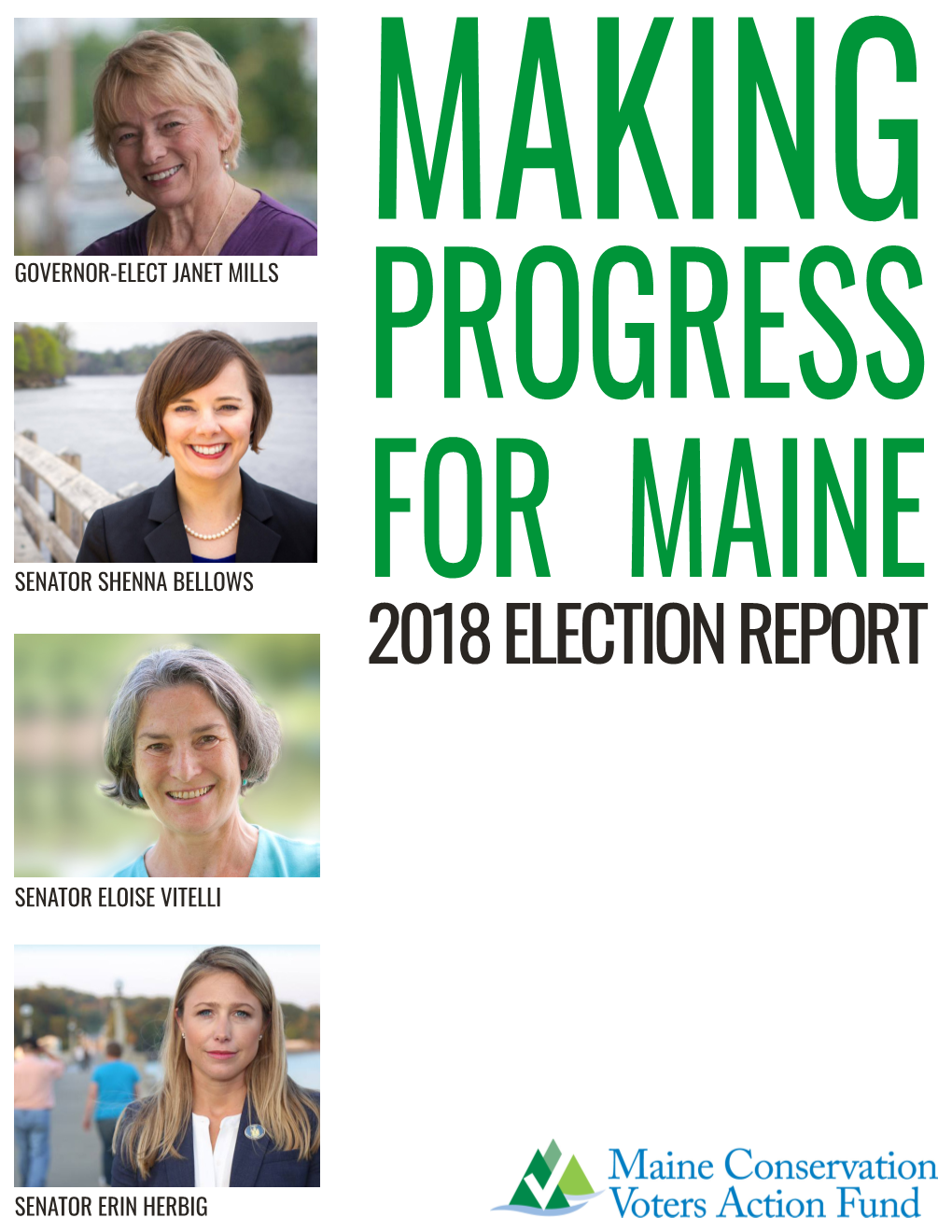 2018 Election Report