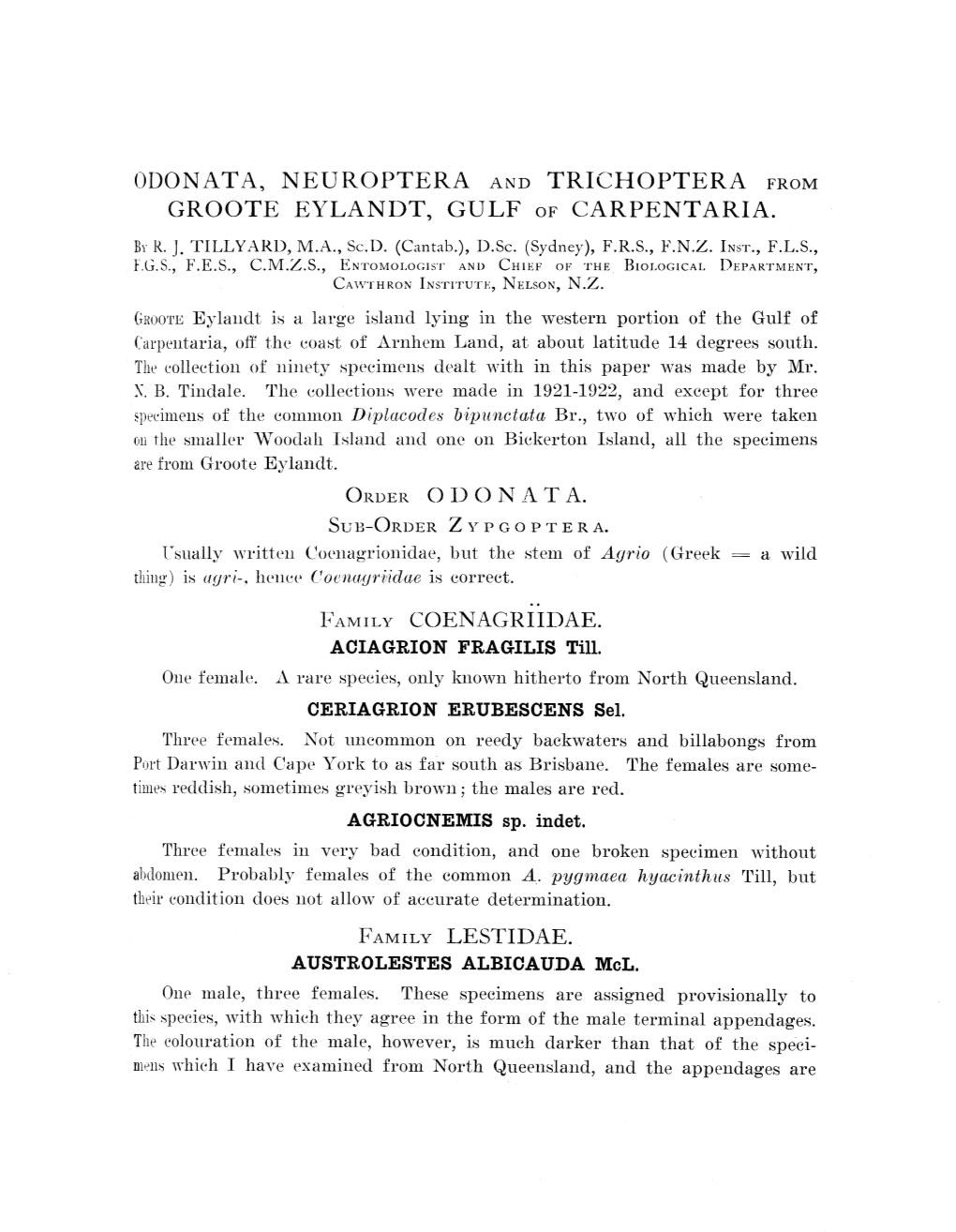 Odonata, Neuroptera and Trichoptera from Groote Eylandt, Gulf of Carpentaria