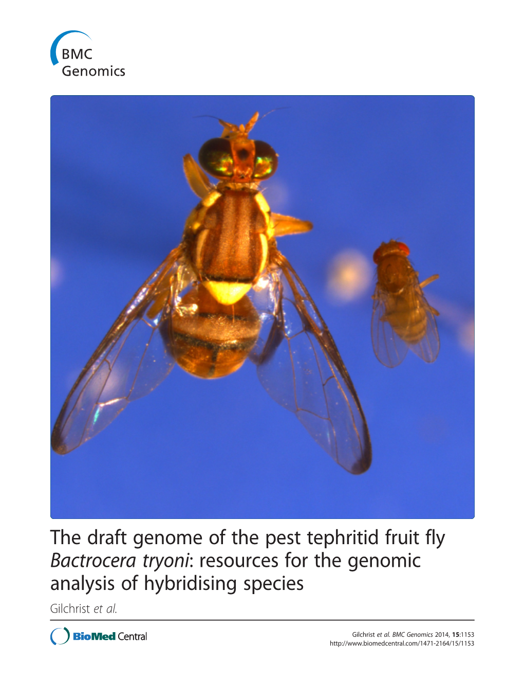 The Draft Genome of the Pest Tephritid Fruit Fly Bactrocera Tryoni: Resources for the Genomic Analysis of Hybridising Species Gilchrist Et Al