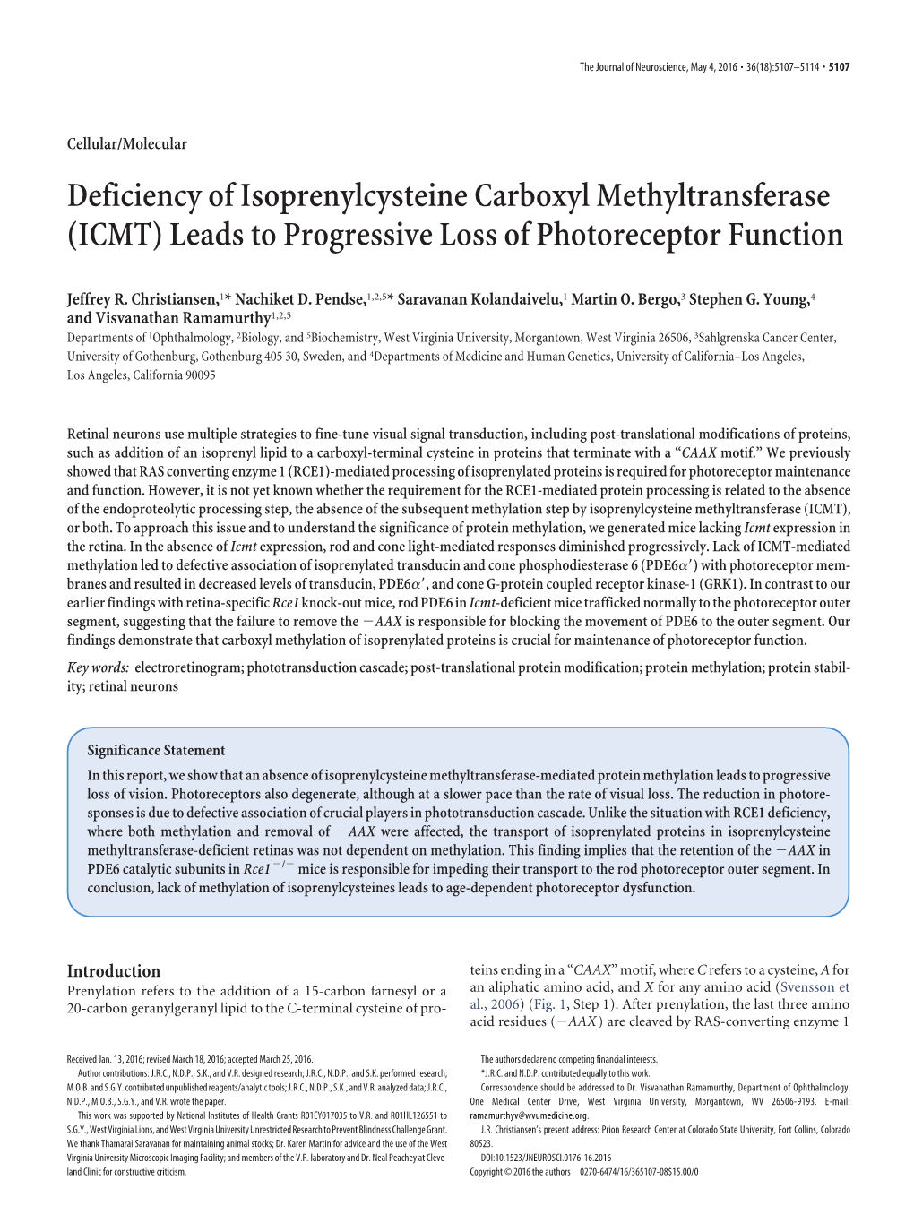 Leads to Progressive Loss of Photoreceptor Function