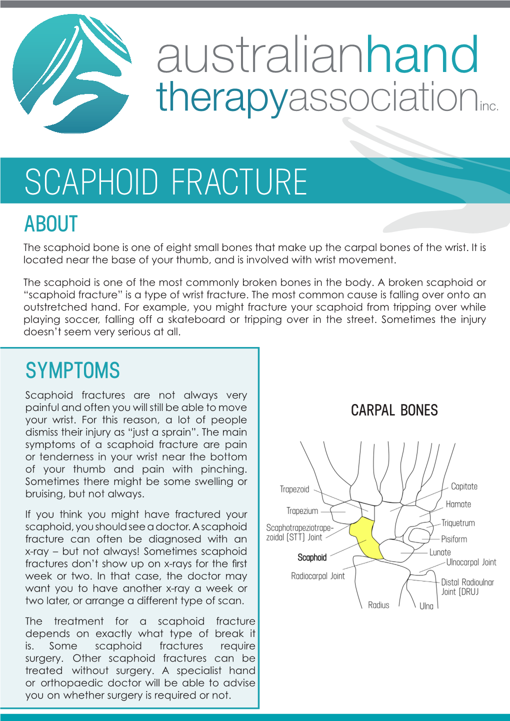 SCAPHOID FRACTURE ABOUT the Scaphoid Bone Is One of Eight Small Bones That Make up the Carpal Bones of the Wrist