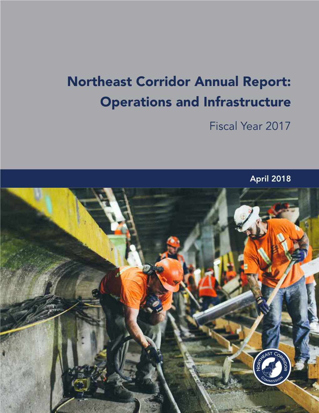 NEC Annual Report: FY17 Infrastructure