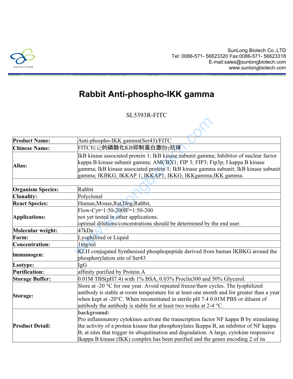 Rabbit Anti-Phospho-IKK Gamma-SL5393R-FITC