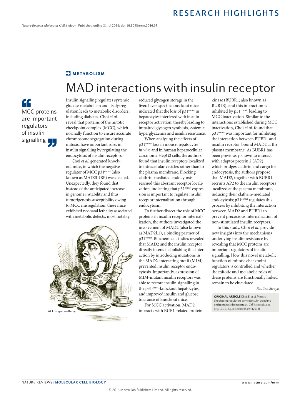 Metabolism: MAD Interactions with Insulin Receptor