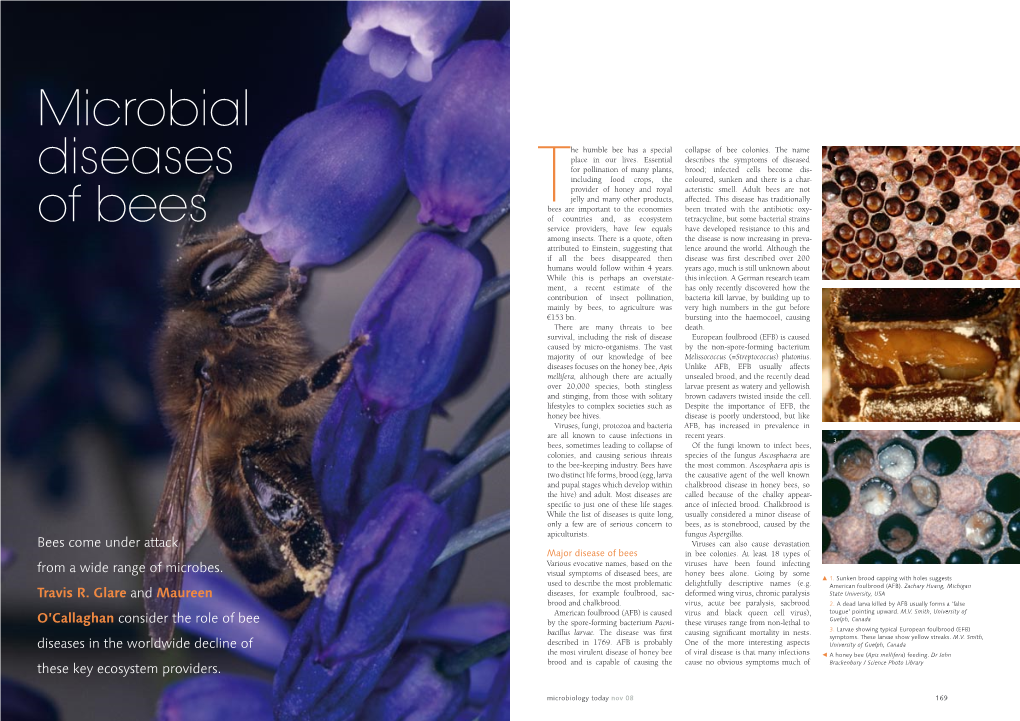 Microbial Diseases of Bees