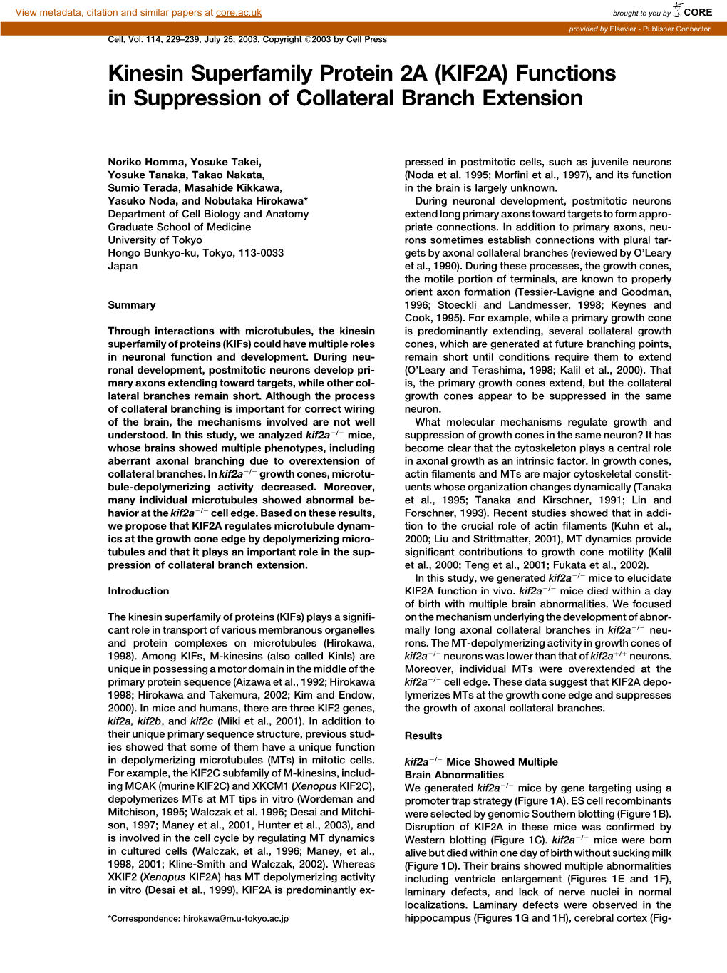 (KIF2A) Functions in Suppression of Collateral Branch Extension