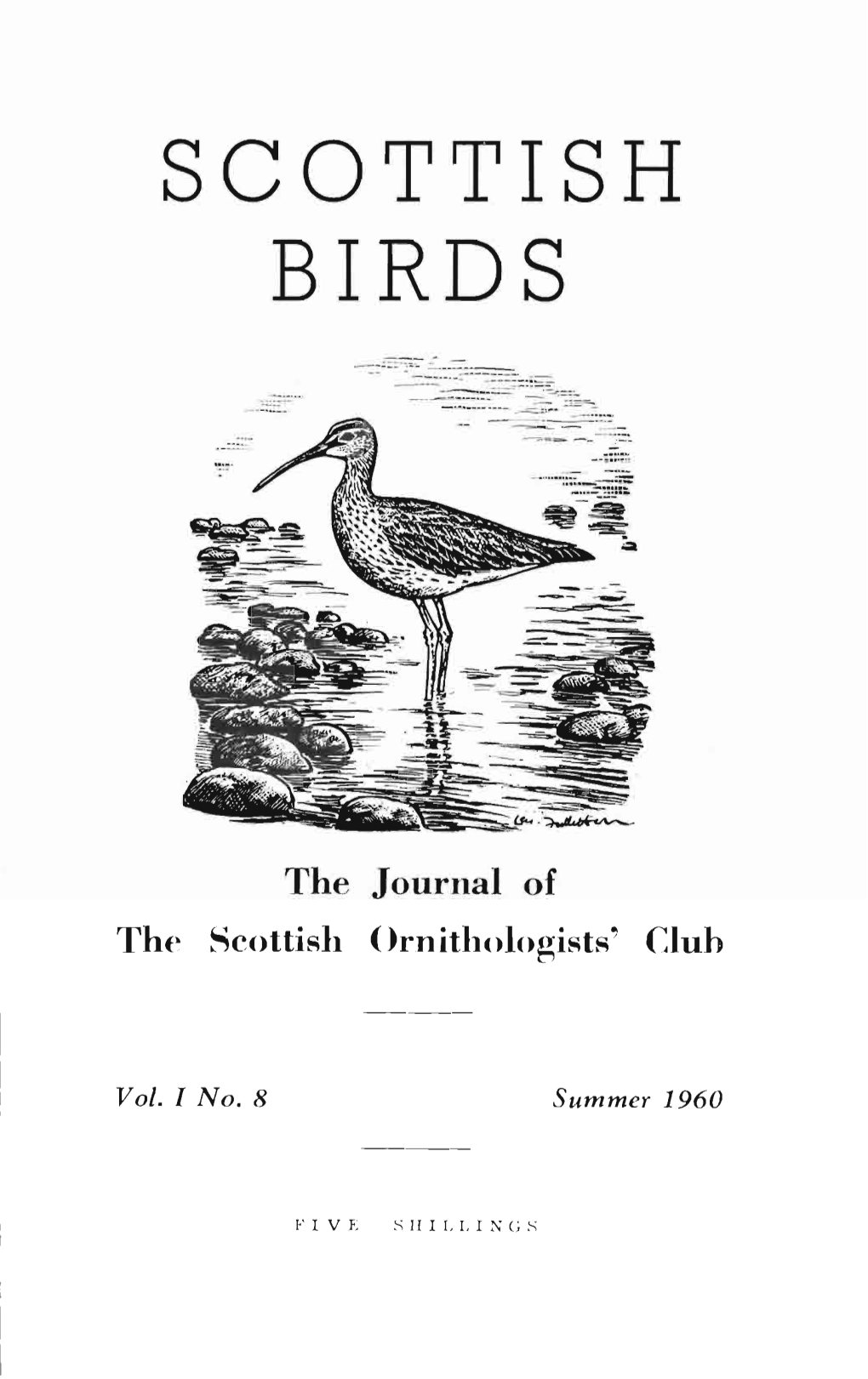 Scottish Birds