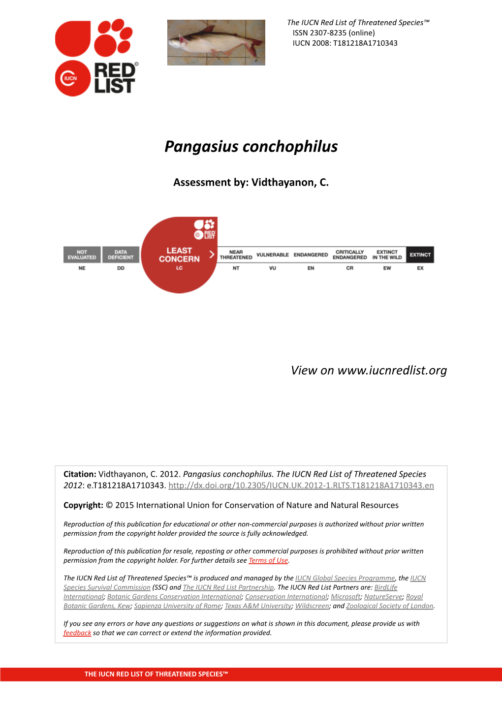Pangasius Conchophilus