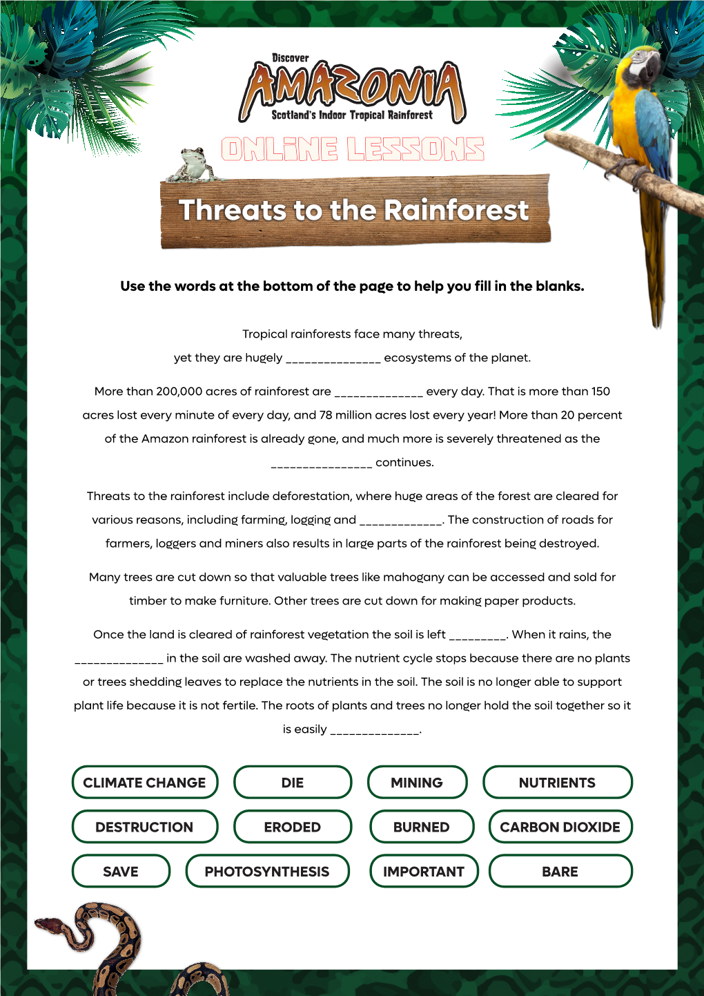 Online Lessons Threats to the Rainforest