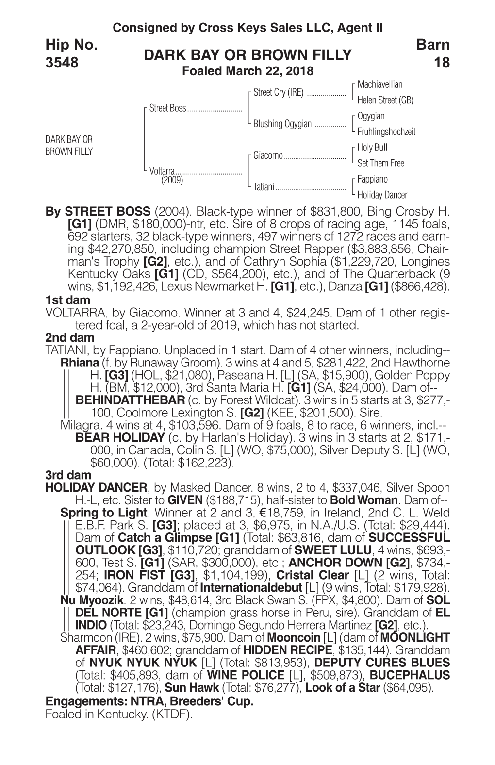 DARK BAY OR BROWN FILLY Barn 18 Hip No. 3548