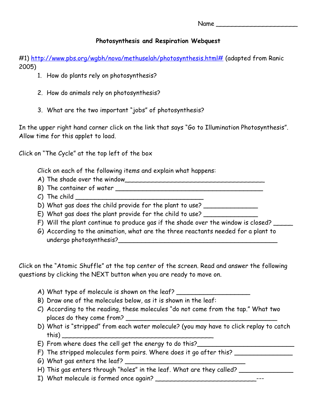 Photosynthesis and Respiration Webquest