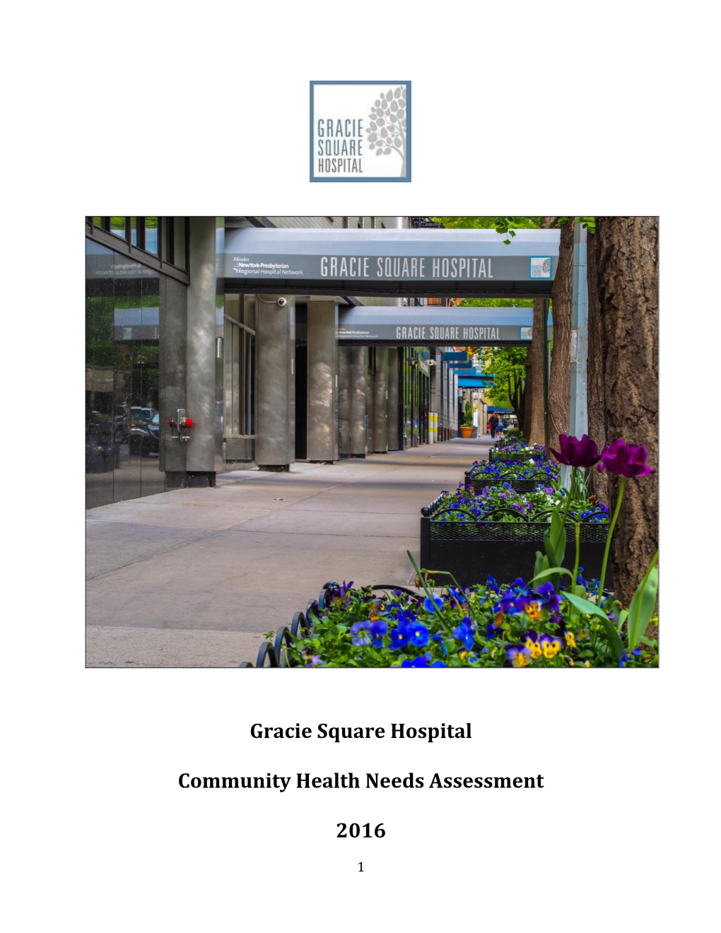 Gracie Square Hospital Community Health Needs Assessment 2016