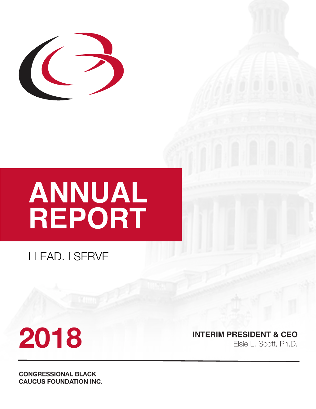 2018 Annual Report | Page 4 OUR VISION