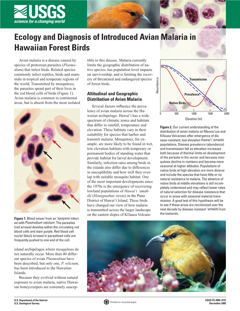 Ecology and Diagnosis of Introduced Avian Malaria in Hawaiian Forest Birds