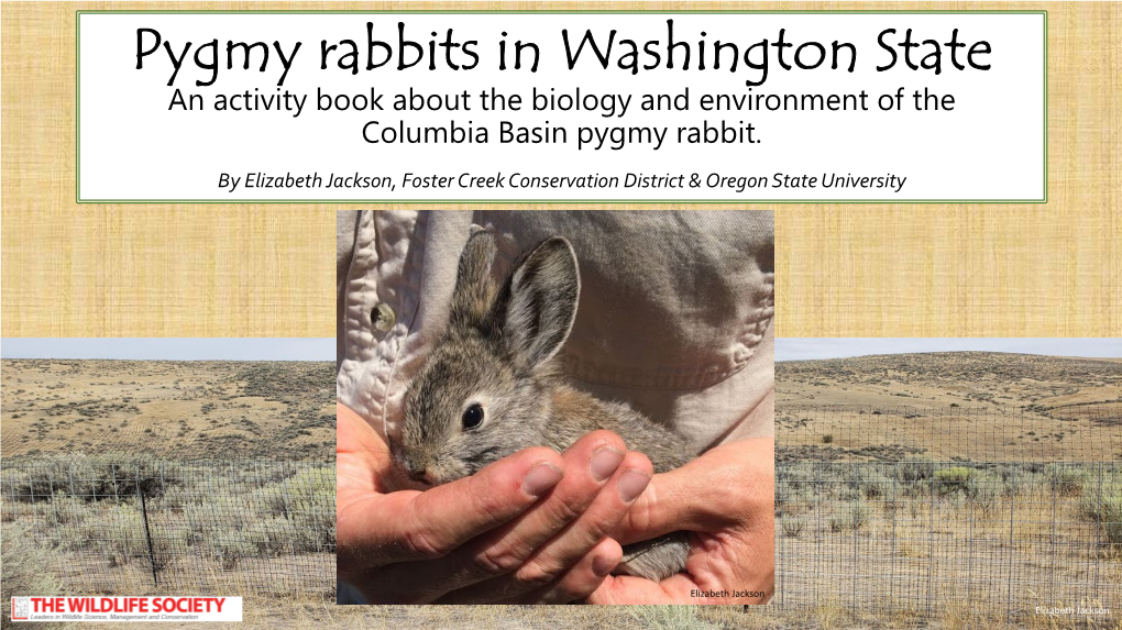 Pygmy Rabbits in Washington State an Activity Book About the Biology and Environment of the Columbia Basin Pygmy Rabbit