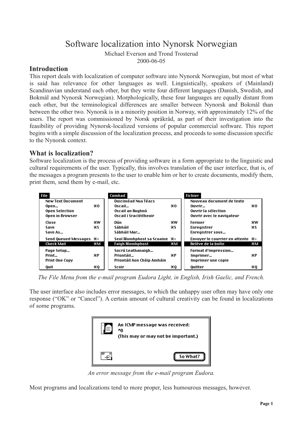 Software Localization Into Nynorsk Norwegian