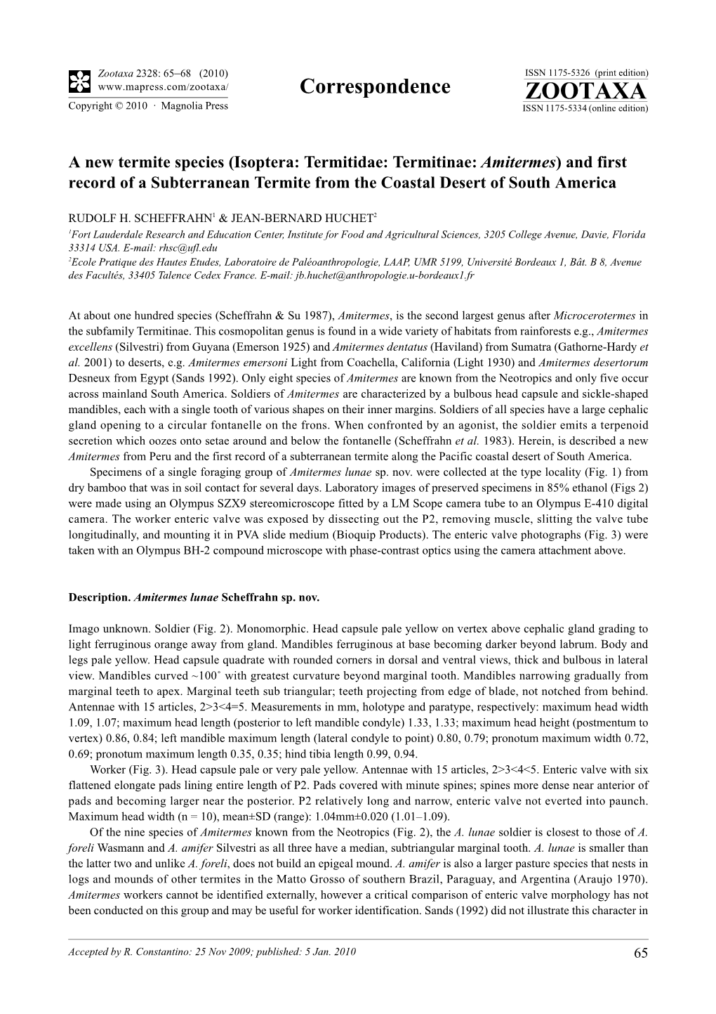 Zootaxa, a New Termite Species (Isoptera