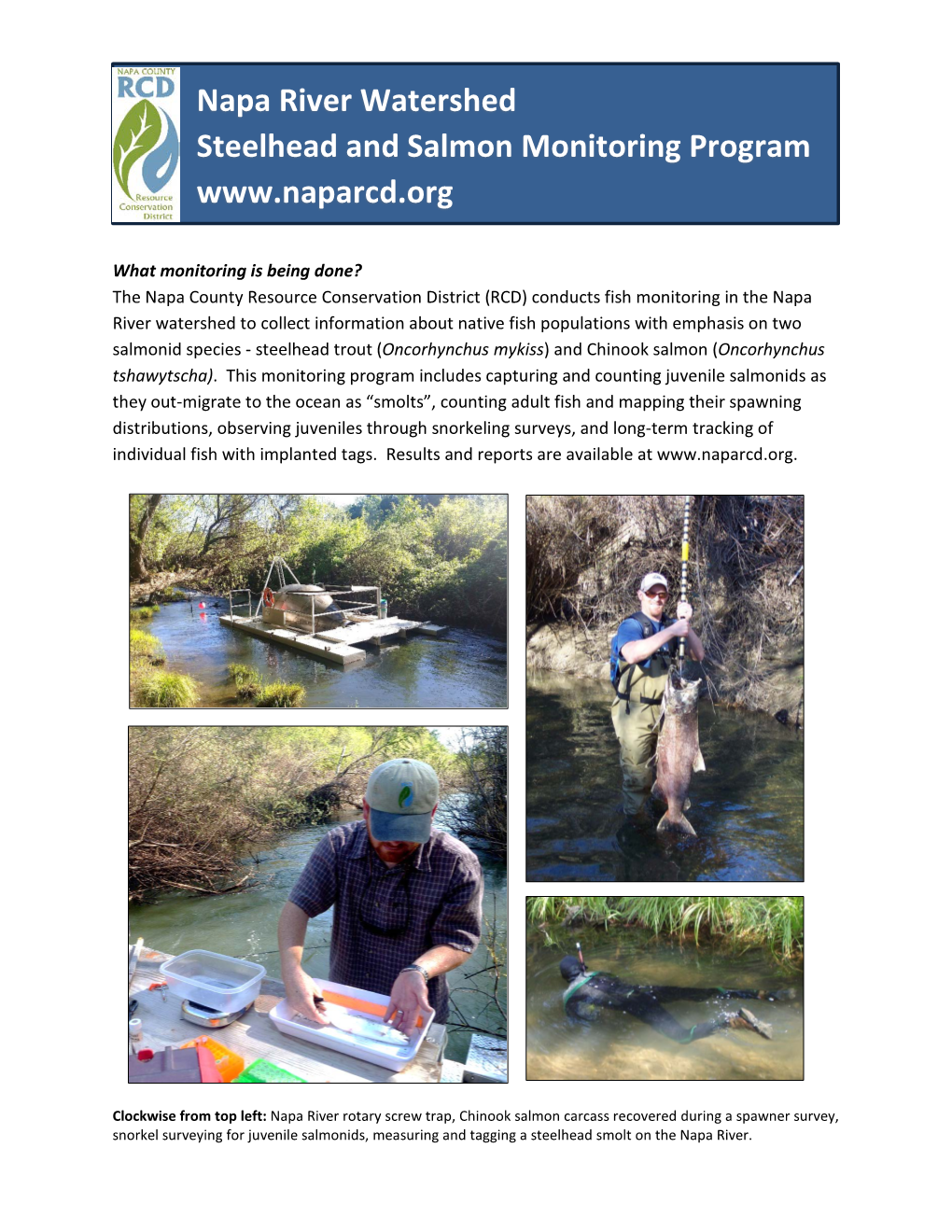 Napa River Watershed Steelhead and Salmon Monitoring Program