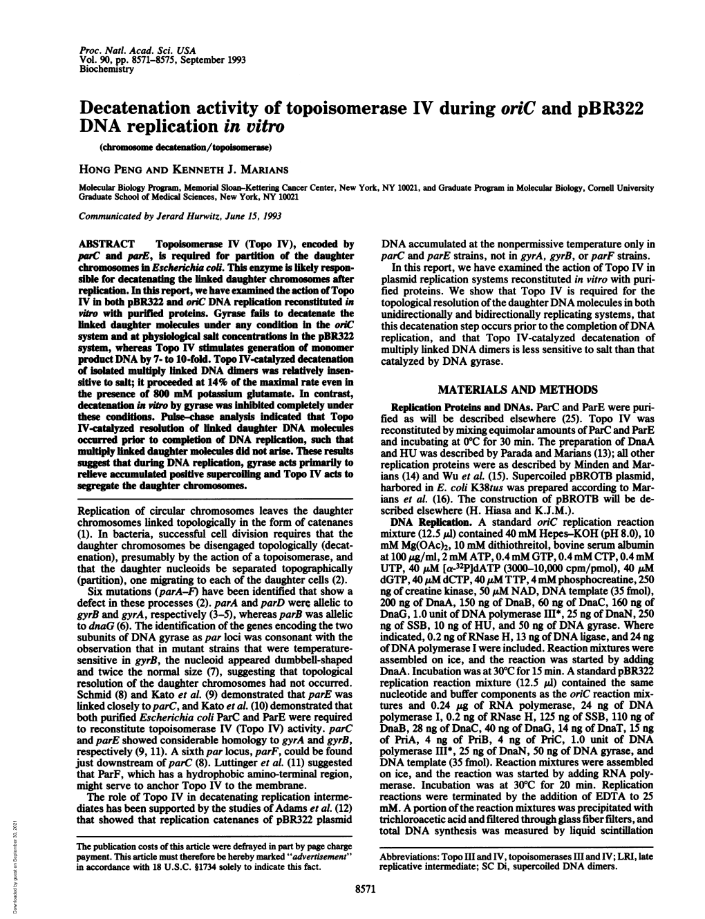 Decatenation Activity of Topoisomerase IV During Oric and Pbr322 DNA Replication in Vitro (Chromosome Deateaton/Topolsomerase) HONG PENG and KENNETH J