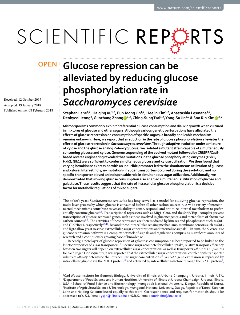 Glucose Repression Can Be Alleviated by Reducing Glucose
