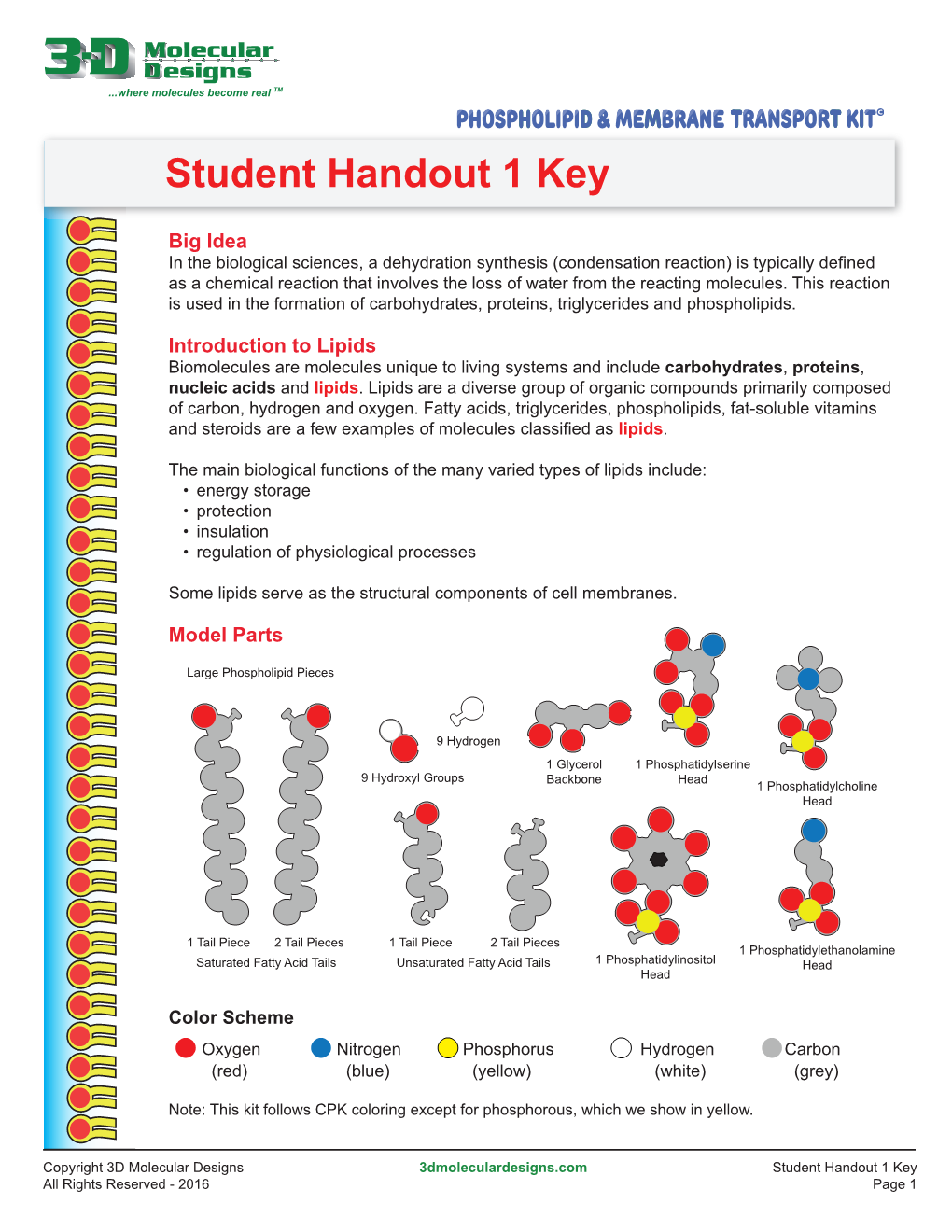 Student Handout 1 Key