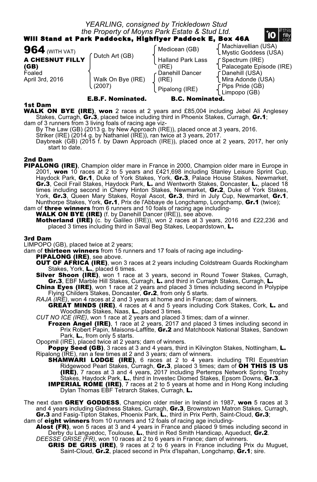 YEARLING, Consigned by Trickledown Stud the Property of Moyns Park Estate & Stud Ltd