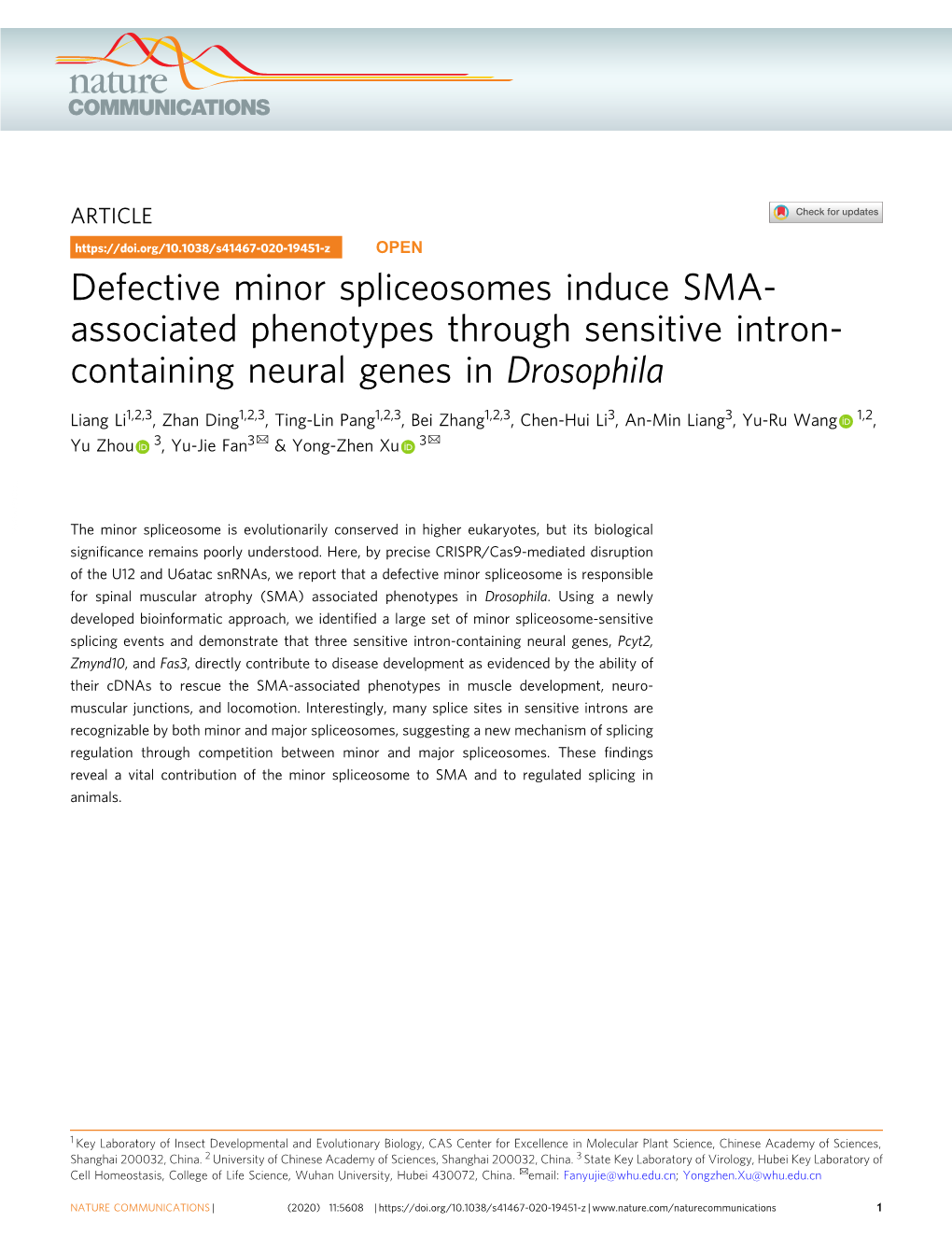 Defective Minor Spliceosomes Induce SMA-Associated Phenotypes