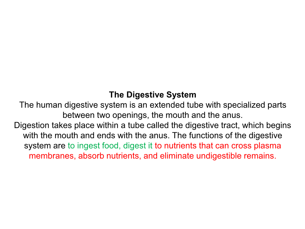 The Digestive System the Human Digestive System Is an Extended Tube with Specialized Parts Between Two Openings, the Mouth and the Anus