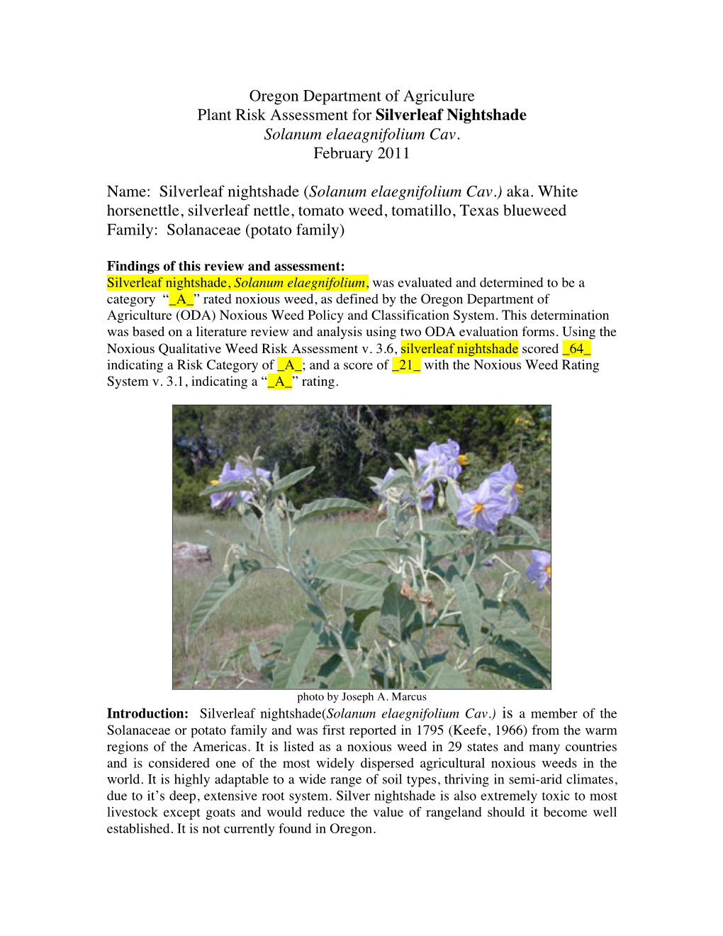 Plant Pest Risk Assessment Silverleaf Nightshade