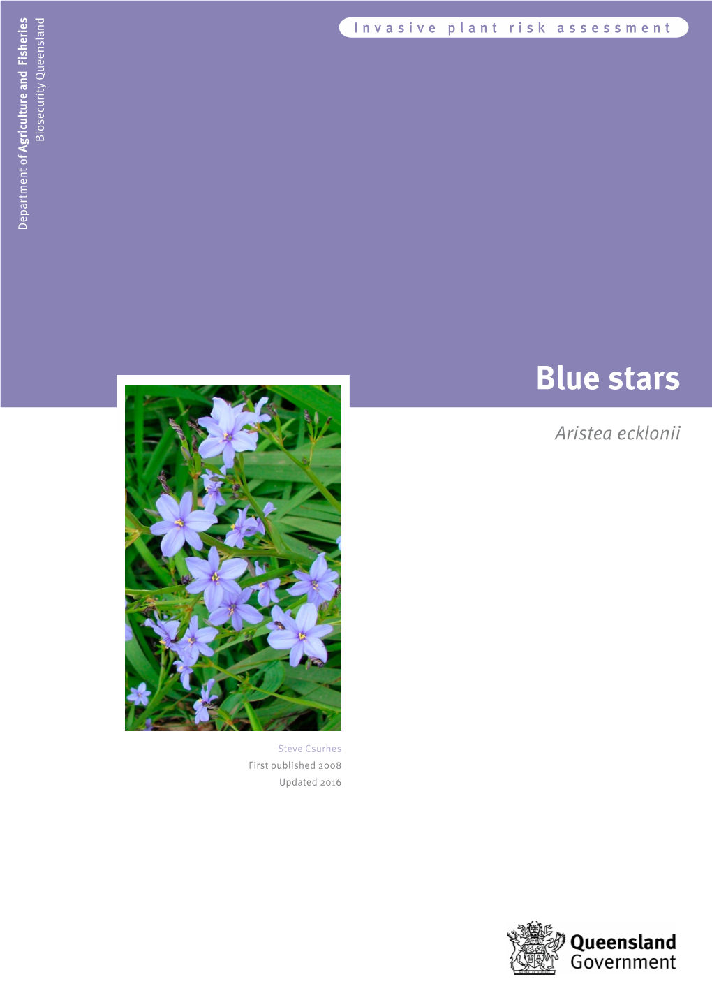 Blue Stars (Aristea Ecklonii) 2 Contents