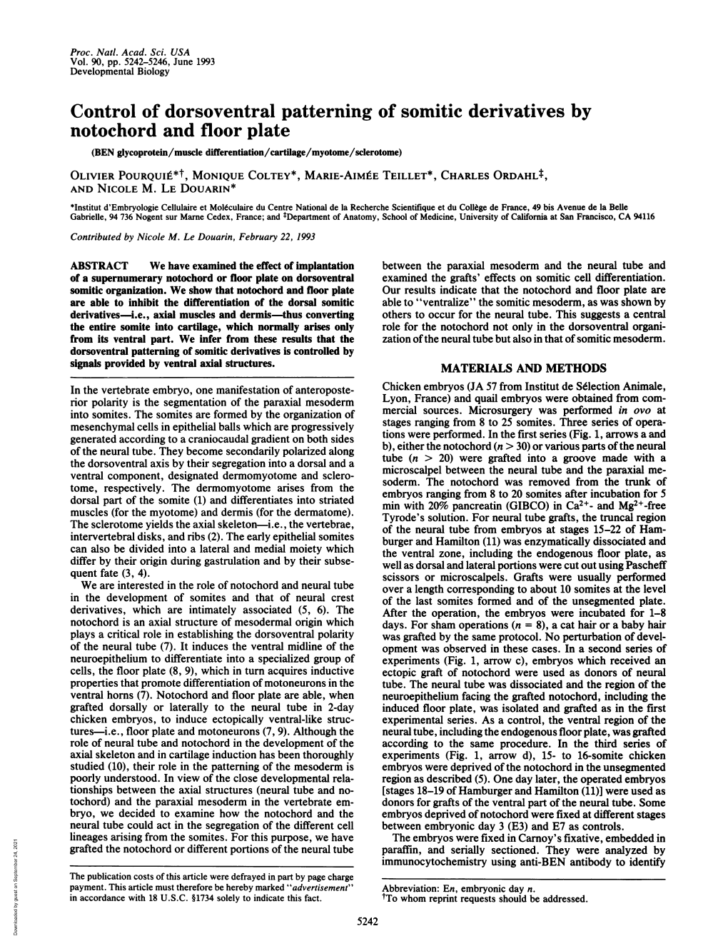 Control of Dorsoventral Patterning of Somitic Derivatives by Notochord