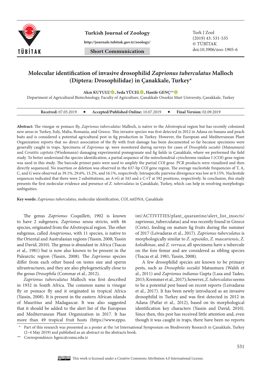 Molecular Identification of Invasive Drosophilid Zaprionus Tuberculatus