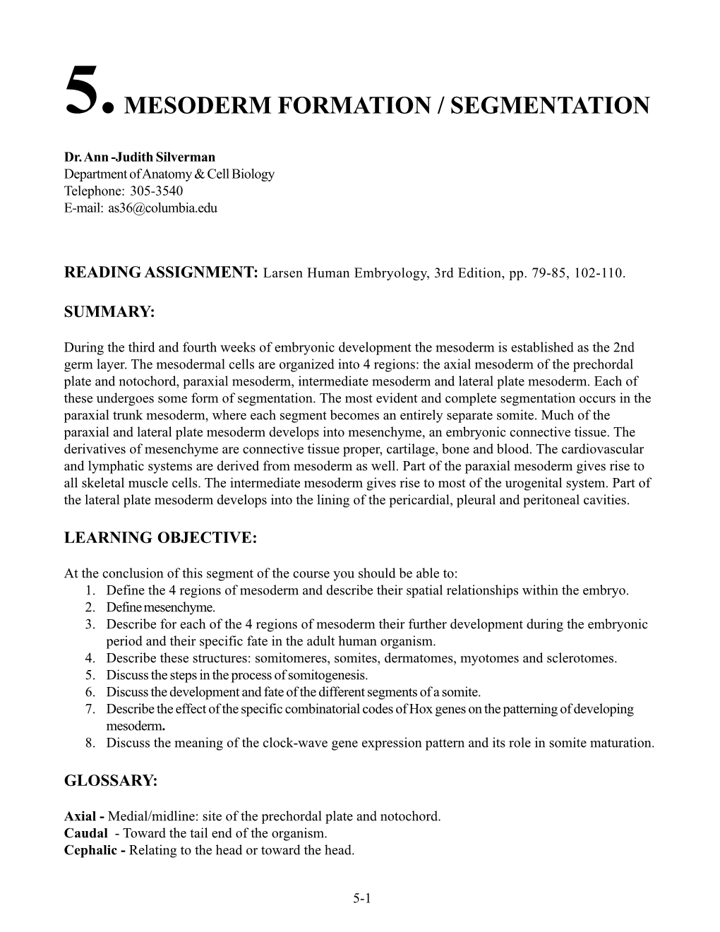 5.Mesoderm Formation / Segmentation