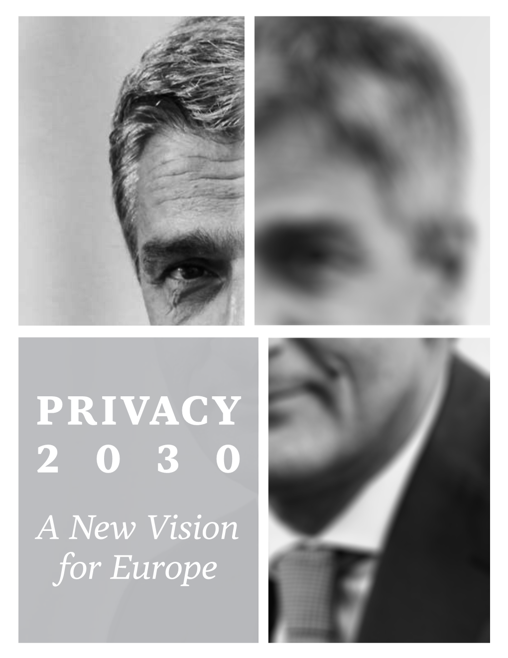 PRIVACY 2030 a New Vision for Europe