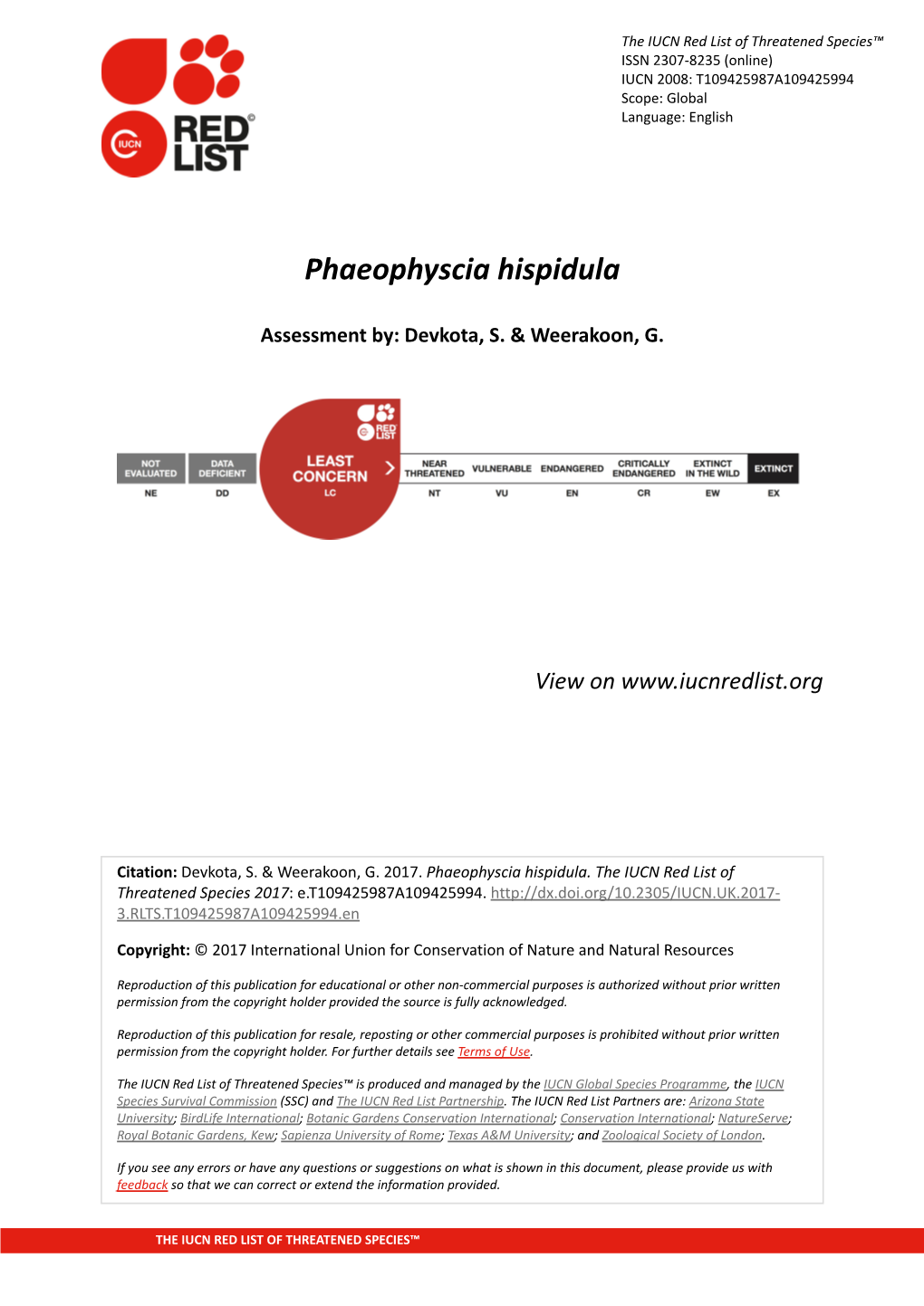 Phaeophyscia Hispidula