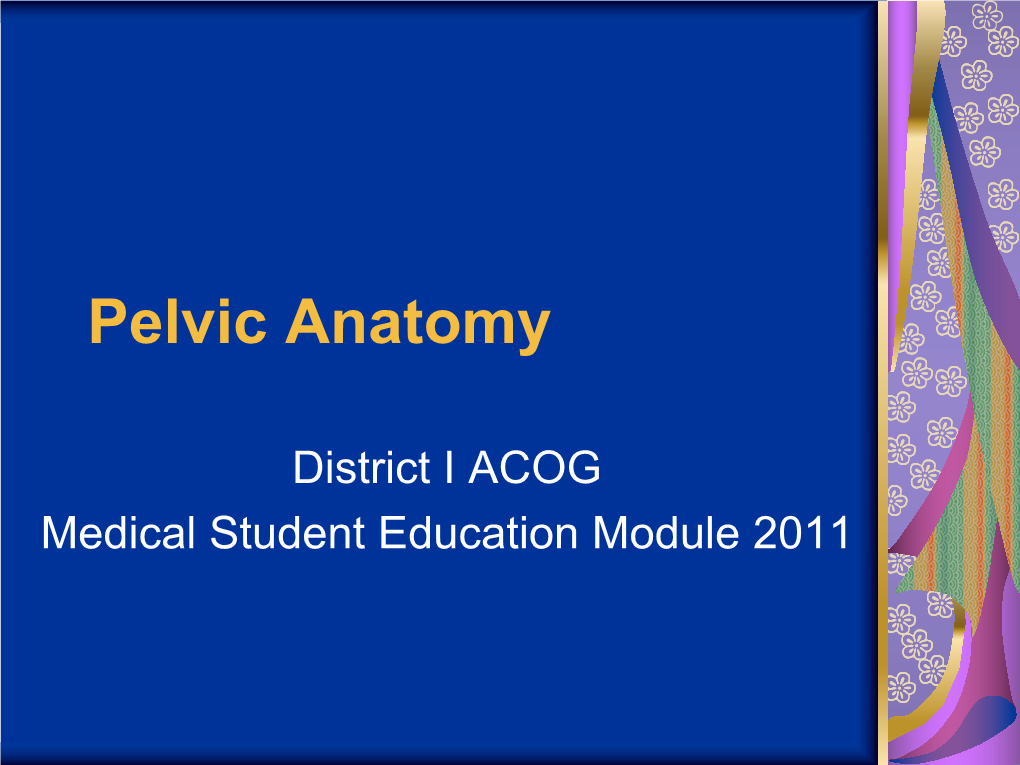 Pelvic Anatomy