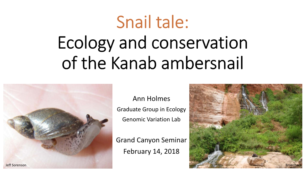 Snail Tale: Ecology and Conservation of the Kanab Ambersnail