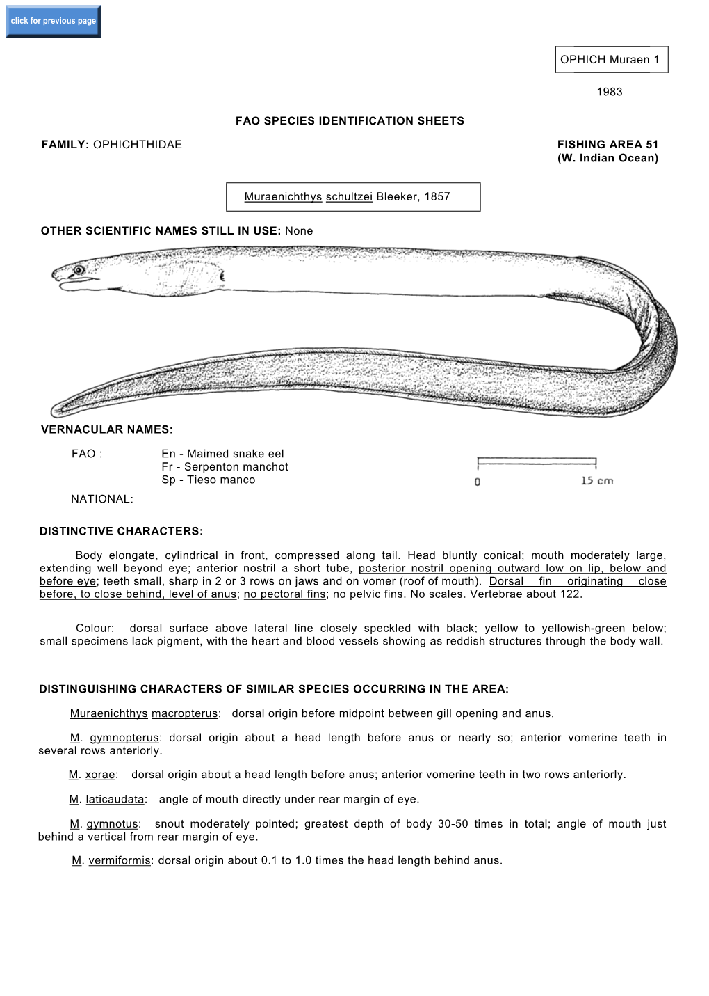 OPHICH Muraen 1 1983 FAO SPECIES IDENTIFICATION