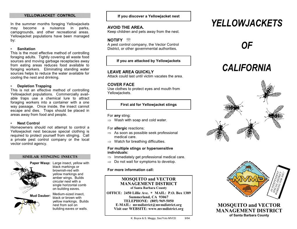 Yellowjackets of California