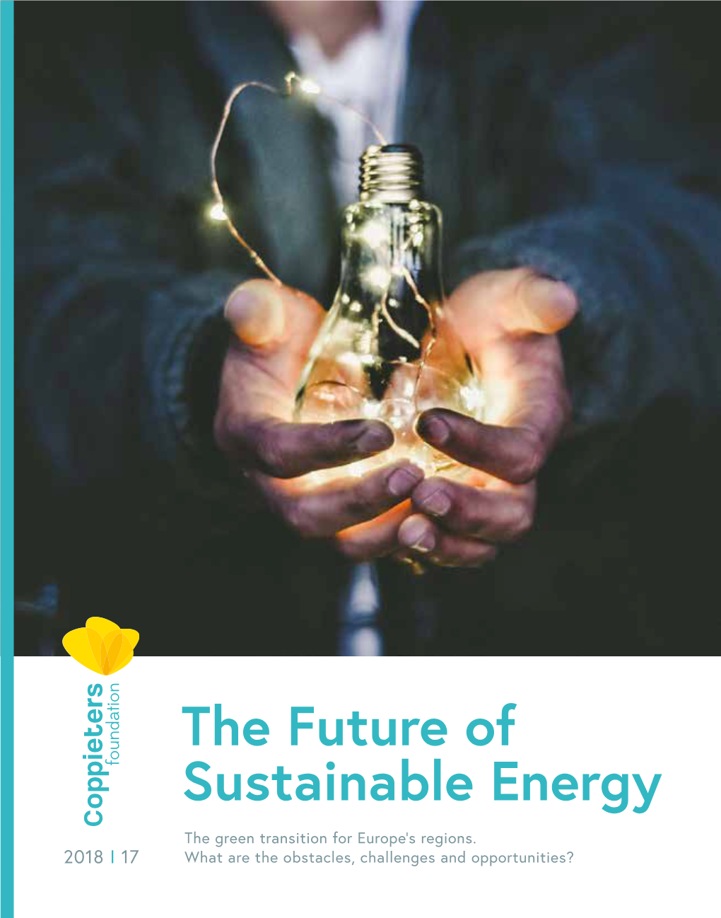 The Future of Sustainable Energy