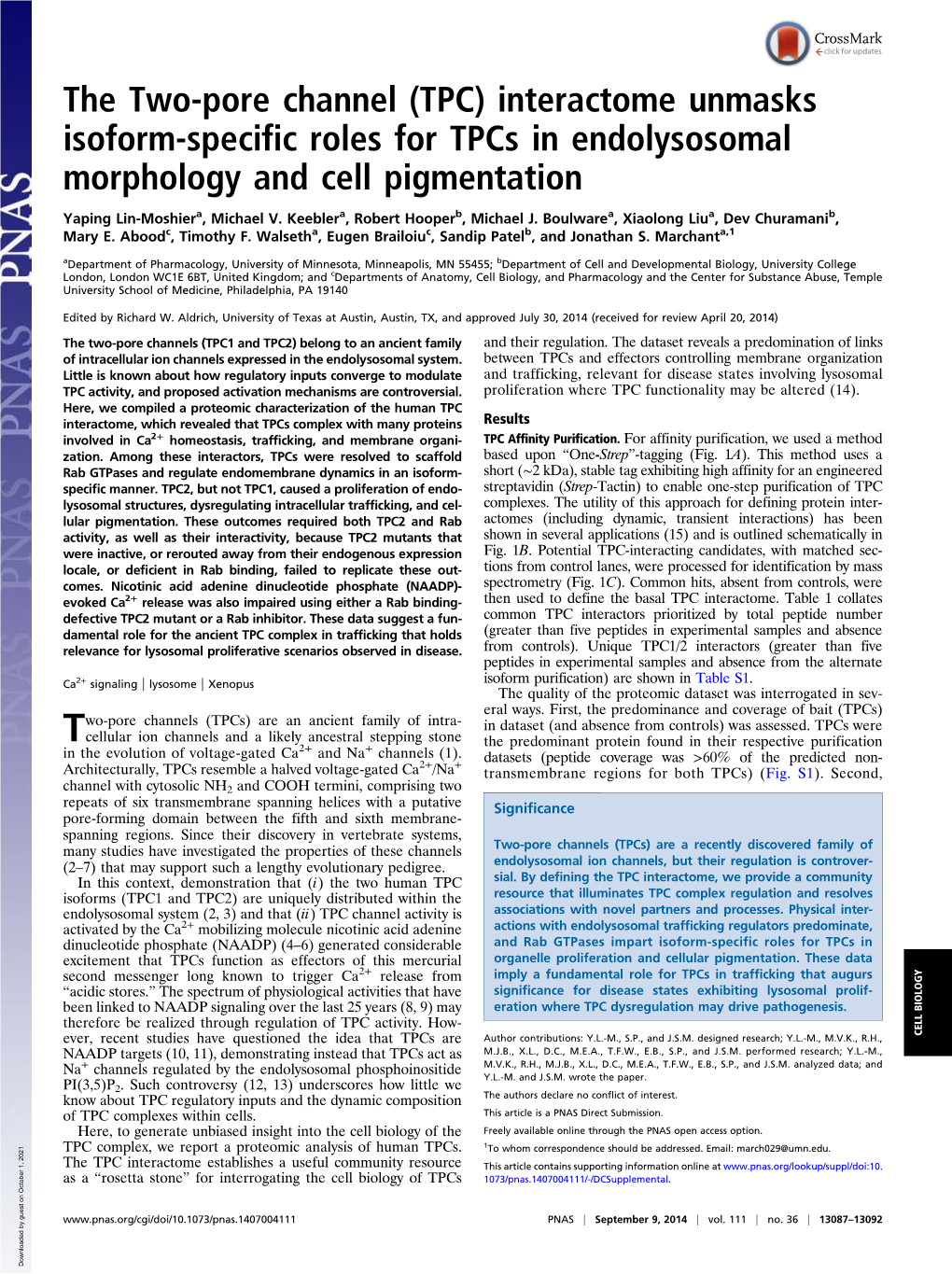 The Two-Pore Channel (TPC) Interactome Unmasks Isoform-Specific Roles for Tpcs in Endolysosomal Morphology and Cell Pigmentation