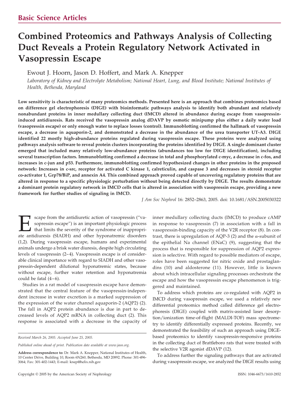 Combined Proteomics and Pathways Analysis of Collecting Duct Reveals a Protein Regulatory Network Activated in Vasopressin Escape