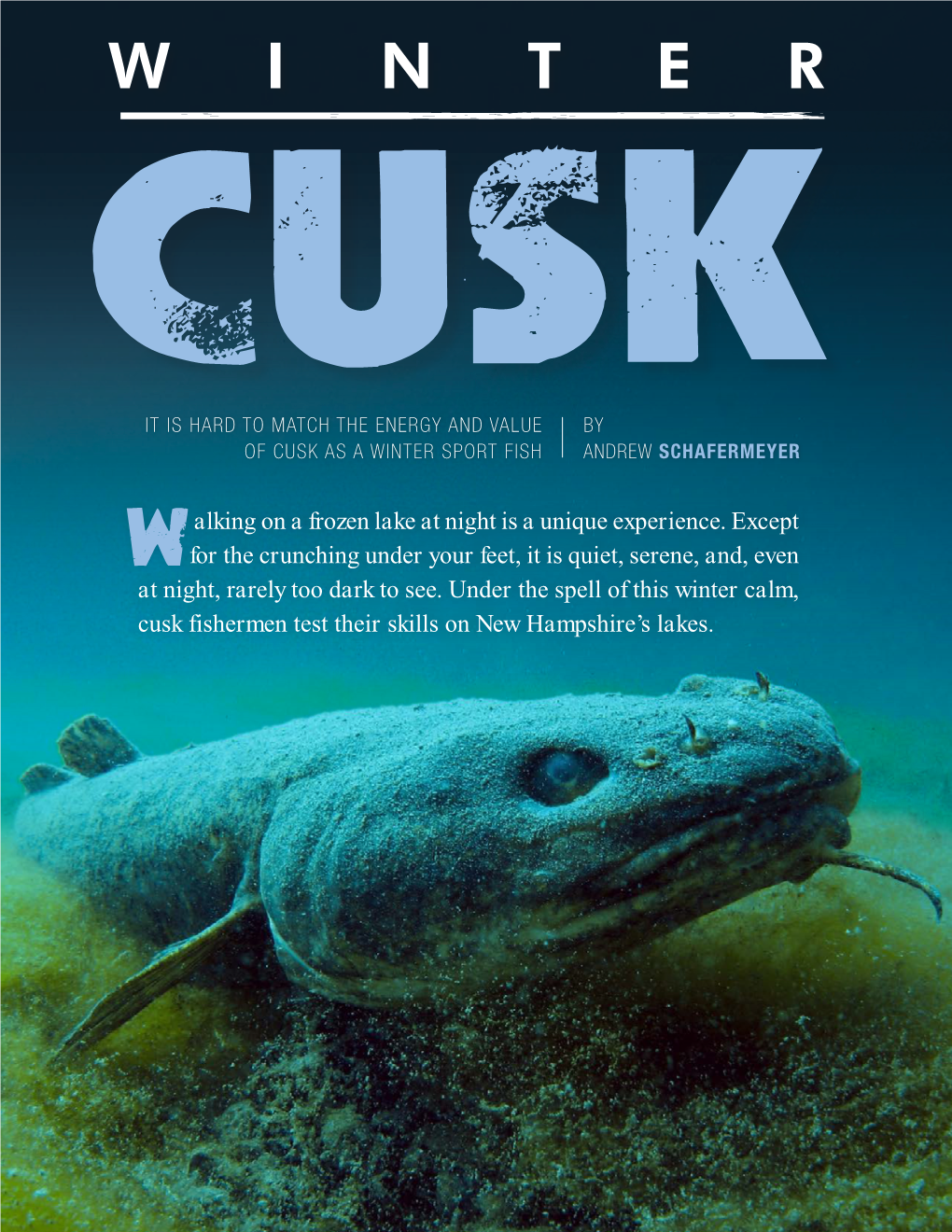 Winter Cusk in New in Fish and Game’S Seasonal N.H