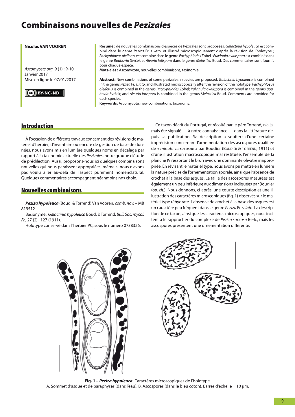 Ascomyceteorg 09-01 Ascomyceteorg