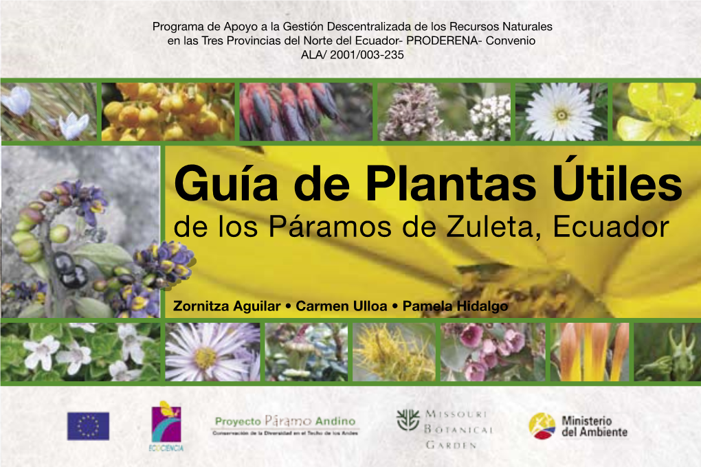 Guía De Plantas Útiles De Los Páramos De Zuleta, Ecuador