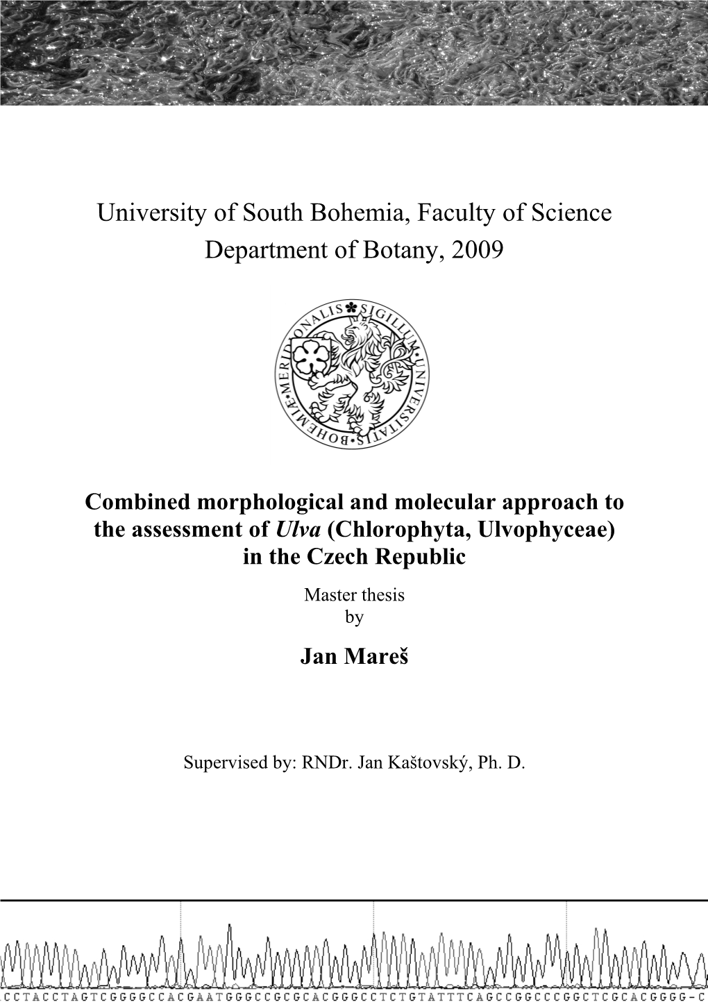 University of South Bohemia, Faculty of Science Department of Botany, 2009